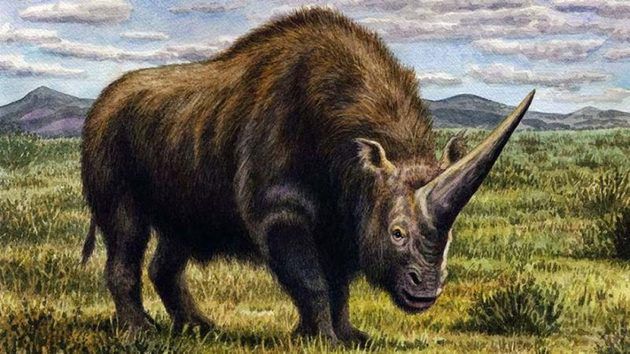 Вчені: десятки тисяч років тому на Землі одночасно із людьми жив "сибірський єдиноріг ". Останній "сибірський єдиноріг" мешкав на Землі ще 29 тисяч років тому.