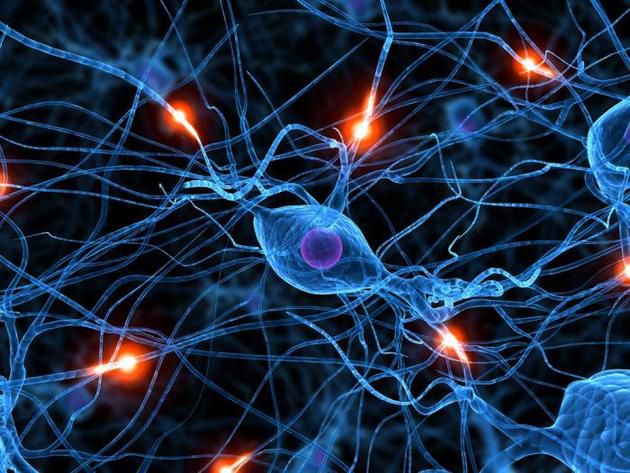 Всі хвороби від нервів: міф чи реальність. Існує ціла наука про вплив нервів на організм – психосоматика.