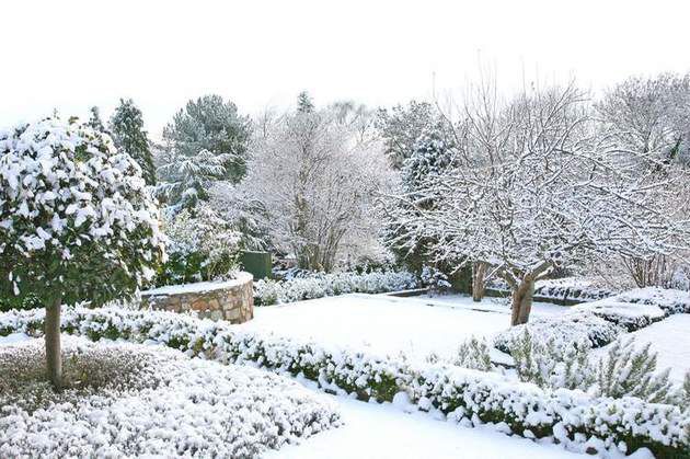 Садівникам на замітку: сезонні роботи в грудні. Якщо грудень буде сніжним, потрібно вибратися на дачу і попрацювати на свіжому повітрі.
