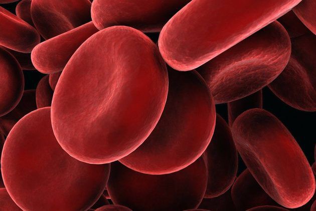 Вчені знайшли нове джерело клітин крові в організмі людини. За останні пару років дослідники почали зустрічати у пацієнтів, які перенесли трансплантацію кишечника, наявність так званої кров'яної химери — виробництво власних клітин крові, сусідніх з клітинами донора.