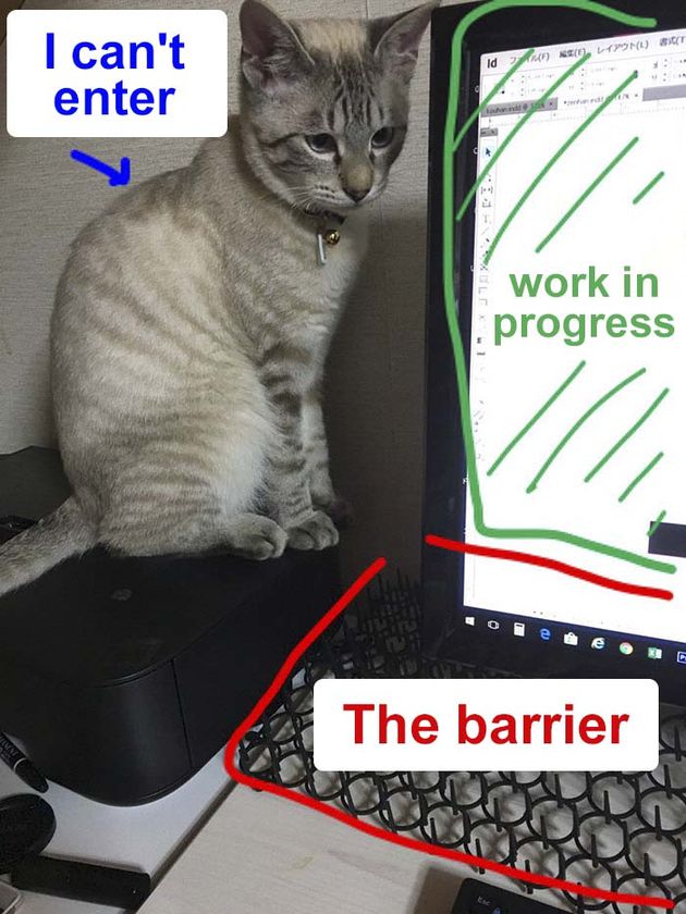 Японець створив захист від кішок для клавіатури і ось, що зробив його котик. Котик знайшов вихід із ситуації.