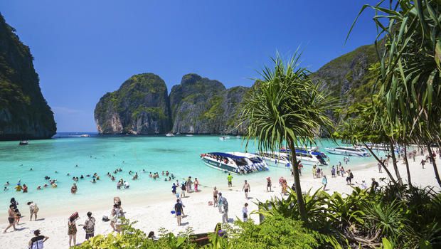 У Таїланді на знаменитому пляжі з'явились сотні рифових акул. Опубліковано відео, на якому сотні акул плавають у водах знаменитого пляжу Майя (Maya Beach) на острові Пхі-Пхі-Ле в Таїланді, де знімався фільм "Пляж" з Леонардо Ді Капріо в головній ролі.