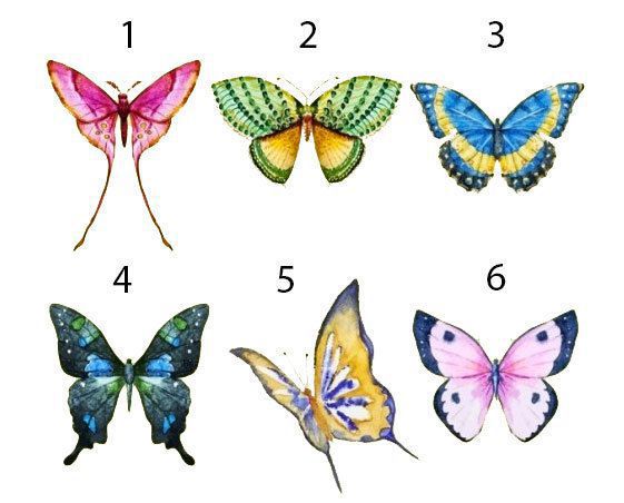 Метелик, якого ви виберете, розкаже про приховані сторони вашої особистості. Виберіть метелика на картинці і дізнайтеся щось нове про себе.