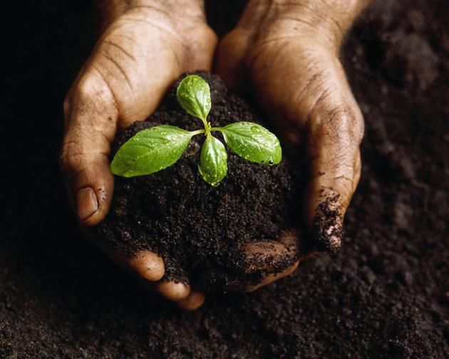 5 грудня - Всесвітній день ґрунтів. Відзначення Всесвітнього дня ґрунту має ціллю підвищити обізнаність людей про важливість ґрунтів в нашому житті.
