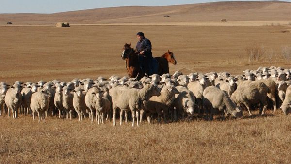 Археологи: Великий Шовковий шлях був прокладений пастухами понад 4000 років тому. На думку вчених, саме скромні пастухи, а не воїни або купці змогли зав'язати тісні культурні та біологічні зв'язки між Сходом і Заходом.