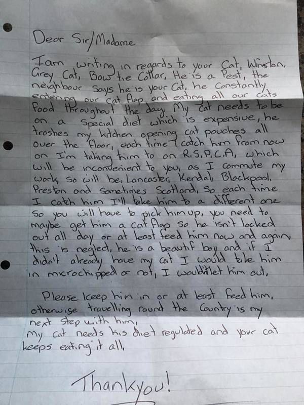 Британець отримав лист, в якому сусідка погрожує викрасти його кота. А все тому що він багато їсть.