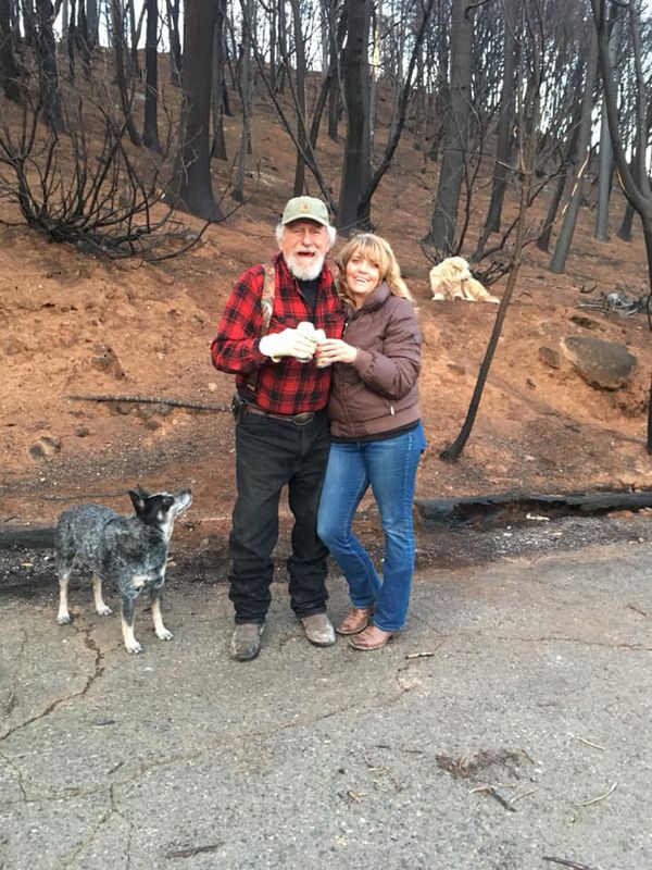 Жінка не змогла забрати пса, коли була евакуація під час пожежі. Він чекав її на згарищі цілий місяць. Пожежі в Каліфорнії стали великою трагедією для багатьох американців.