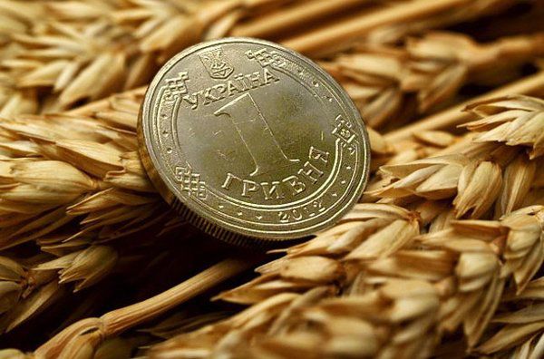 Рекордний урожай зернових зміцнив гривню. За даними Мінагро, урожай зернових в Україні вже перевищив історичний рекорд 2016 року.