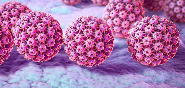 Вірус папіломи людини збільшує ризик появи раку шийки матки. Для своєчасного виявлення передракових захворювань варто регулярно робити скринінг тести та здавати аналізи.