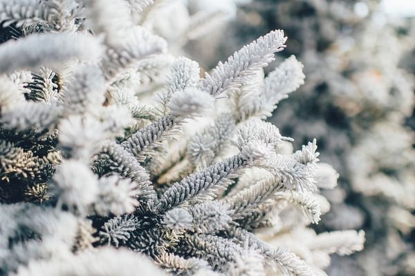 Прогноз погоди в Україні на 17 грудня 2018: зниження температури, ожеледиця. У понеділок, 17 грудня, температура в Україні продовжить знижуватися, в західних регіонах пройде сніг, на решті території України - без опадів.