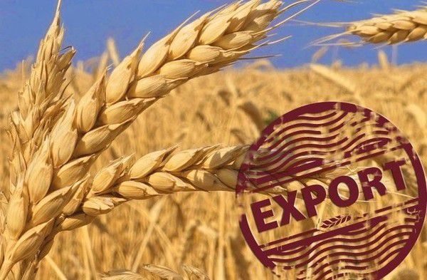 Україна збільшить експорт зерна у Саудівську Аравію. Україна хоче збільшити експорт зерна в Саудівську Аравію.
