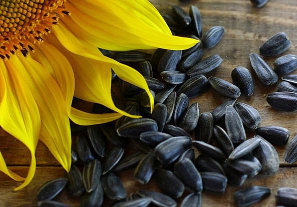 смажене насіння — корисні властивості і протипоказання