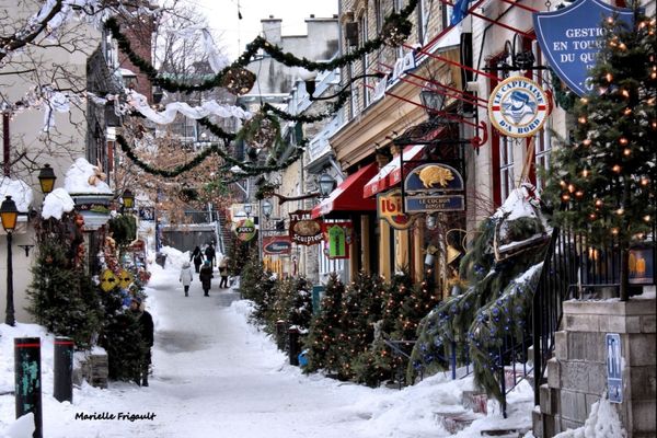 Дивіться, як у Канаді прикрашають вулиці до Різдва. Казка наяву!