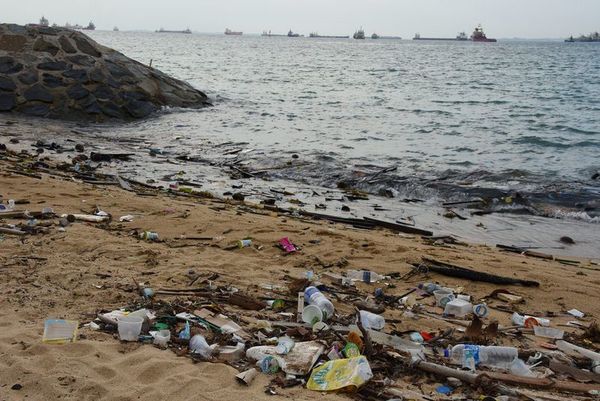 В південній частині Тихого океану розташований найбрудніший острів у світі. Багато хто з нас думає, що океан величезний і нічого страшного не станеться, якщо в нього викинути сміття.