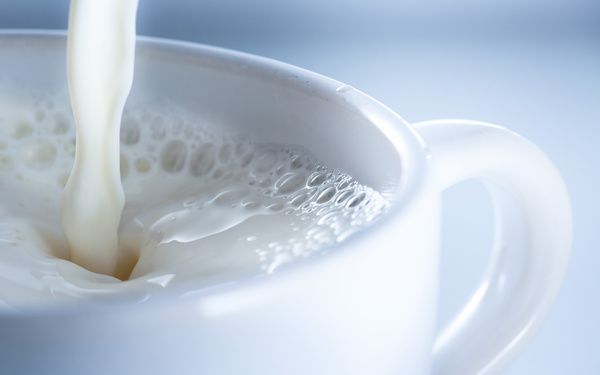 Чому так склалося, що китайці не п'ють молоко?. Згідно з одним дослідженням, кожна п'ята дитина в КНР ніколи не відчувала смак тваринного молока на своїх губах.
