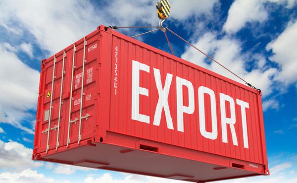 Експорт української агропродукції побив рекорди. Серед експортованих товарів найбільші частки припадають на масло, кукурудзу, пшеницю та насіння ріпаку.