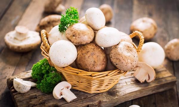 гриби: корисні властивості та позитивний вплив на здоров'я людини