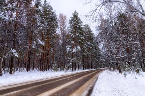 Погода в Україні на 5 січня 2019: похолодання, на дорогах ожеледиця. В Україні в найближчі дні очікується сильний сніг, місцями з дощем, хуртовини та ожеледь, а на різдвяні свята, 6 і 7 січня, прийде різке похолодання, місцями стовпчики термометрів опустяться до 15 градусів морозу.