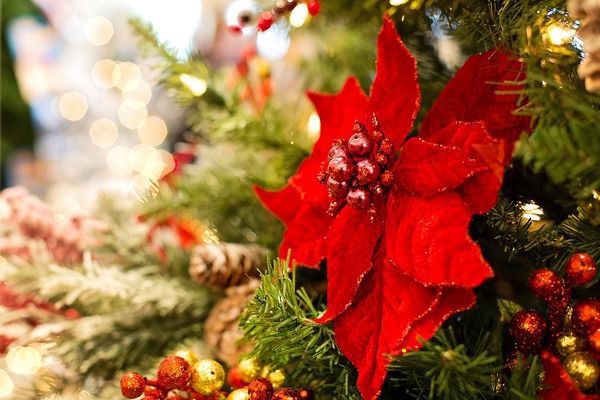 Привітання з Різдвом Христовим 2019. 7 січня православні християни відзначатимуть одне з найголовніших і урочистих свят у церковному календарі – Різдво Христове.