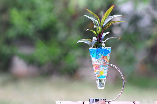 Що таке гідрогель і як його використовувати для кімнатних рослин. Кольоровий аквагрунт неймовірно красиво виглядає в прозорих горщиках і вазах.