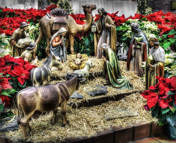 7 січня відзначається одне з головних християнських свят Різдво Христове. Встановлене воно на честь появи на світ Ісуса Христа, народженого від Діви Марії.