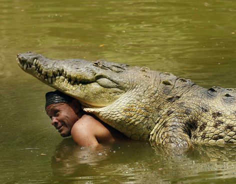 Рибак три роки доглядав за пораненим крокодилом. І ось як хижак йому віддячив. Крокодил - це та тварина, при зустрічі з якою хочеться бігти щодуху. Тим не менш, є людина, яка знайшла з ним спільну мову.