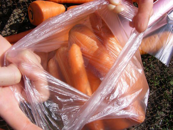 Перевірений і надійний спосіб зберігання моркви. Втрат від гниття або всихання коренеплоду практично немає.