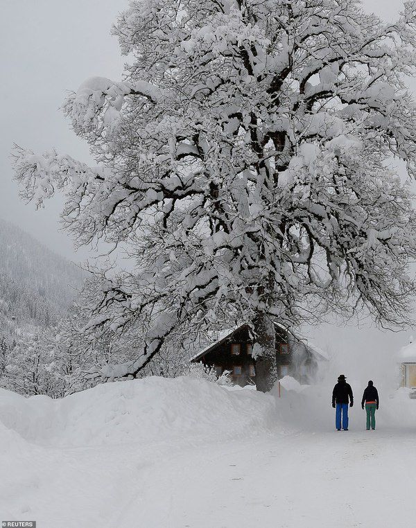 Сніг паралізував частину Європи - наслідки. Сильні снігопади принесли хаос до Німеччини та Швеції в п'ятницю, внаслідок негоди дороги заблоковані, поїзди зупинилися і школи закрилися.
