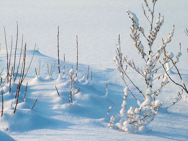 Прогноз погоди в Україні на 12 січня 2019: місцями сніг, на дорогах ожеледиця. В Україні очікуються хуртовини, місцями дощ з мокрим снігом, на вихідних опади вщухнуть і прийде потепління.