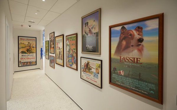 Музей, присвячений собакам, відкриється на Манхеттені в Нью-Йорку. У музеї можна буде відвідати бібліотеку, де зібрані книги, що розповідають про породи собак і про їхню роль в історії.