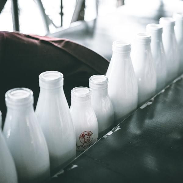 6 міфів про молочні продукти, у які вам варто припинити вірити