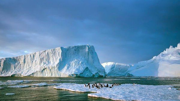 Глобальне потепління: танення льоду на континенті з 1979 року збільшилося в 6 разів. Це призвело до того, що загальний рівень світового океану піднявся практично на сантиметр — і ця ситуація буде тільки погіршуватися.