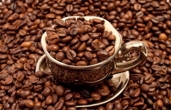 Більше половини диких видів кави на межі зникнення. Принаймні 60% диких видів кави знаходиться під загрозою вимирання.