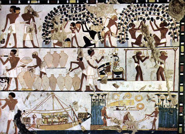 Археологи знайшли на півночі Єгипту виноробню греко-римського періоду. Поруч з нею був побудований склад для зберігання вина і поселення для працівників.