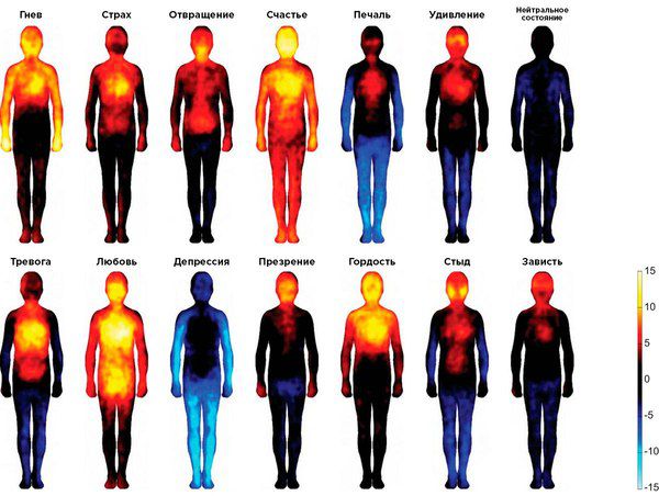 Вчені показали теплові карти, на яких доведений вплив емоцій на наше тіло. Як емоції впливають на наш загальний стан.