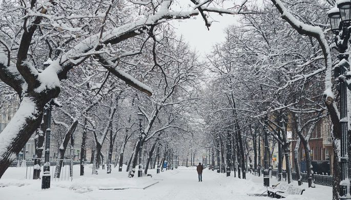 Помінялися місцями: у лютому - весна, а в березні - зима. З'явився прогноз погоди від народних синоптиків в Україні на лютий і березень.