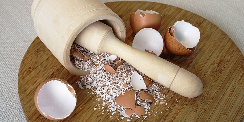 Яєчна шкаралупа — ваш незамінний помічник на дачі. Про те, в чому користь яєчної шкарлупи, а також про способи застосування її в саду і на грядках піде мова в цій статті.