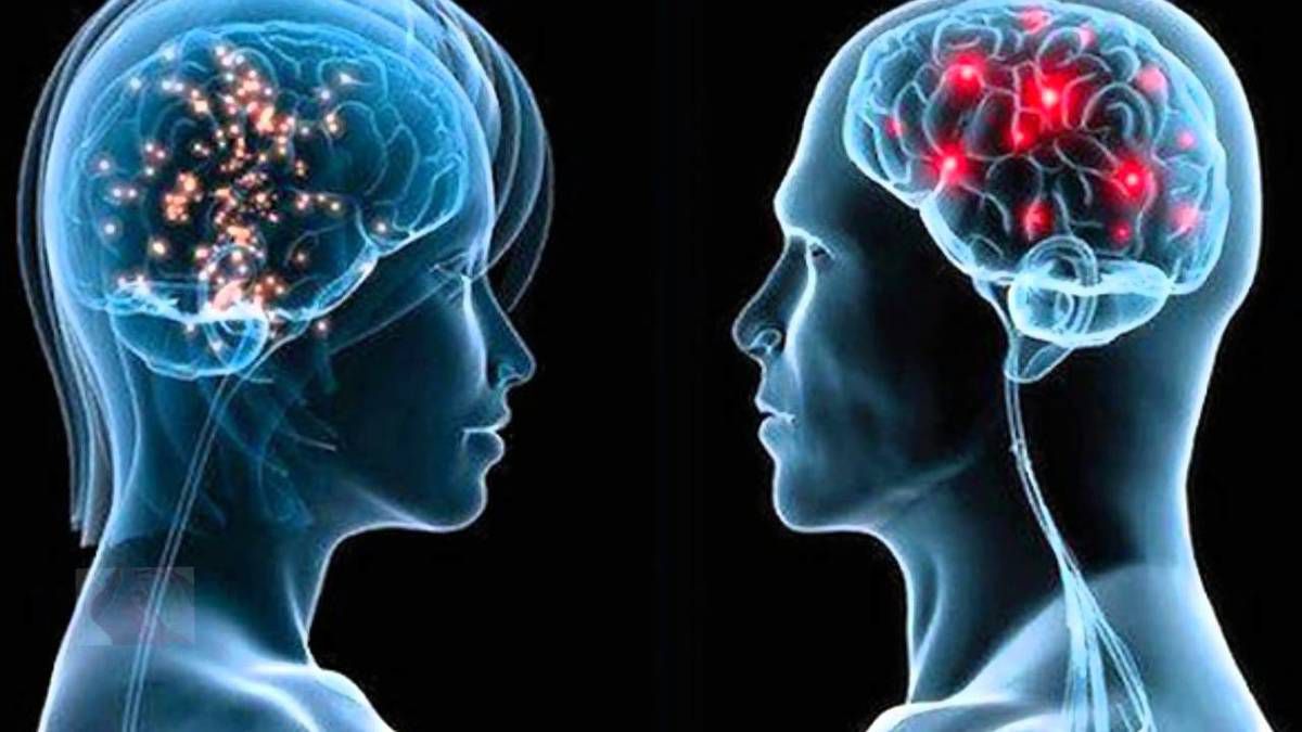 Вчені знайшли важливу відмінність жіночого мозку від чоловічого. На думку дослідників, жіночий мозок має важливі структурні відмінності від чоловічого: його можна назвати більш «молодим».