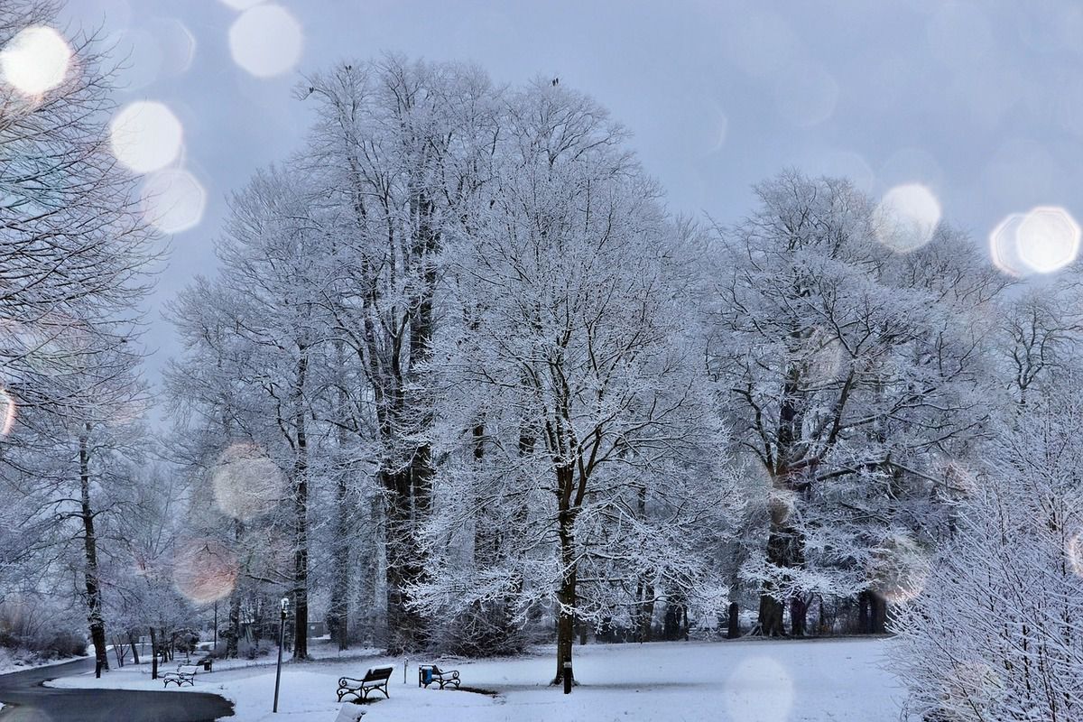 Прогноз погоди в Україні на 6 лютого 2019: зима повертається, похолодання, ожеледиця. В Україні очікується невелике похолодання, збережеться хмарна погода без опадів, лише в західних і північних областях вдень місцями невеликий мокрий сніг.