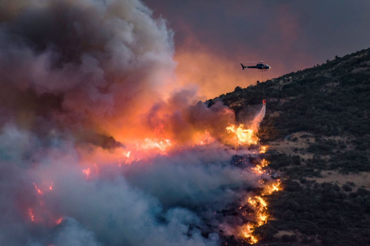 Нова Зеландія потерпає від лісових пожеж. Ні загиблих, ні потерпілих поки немає, але це може змінитися, якщо вітер не припиниться і вогонь продовжить поширюватися.