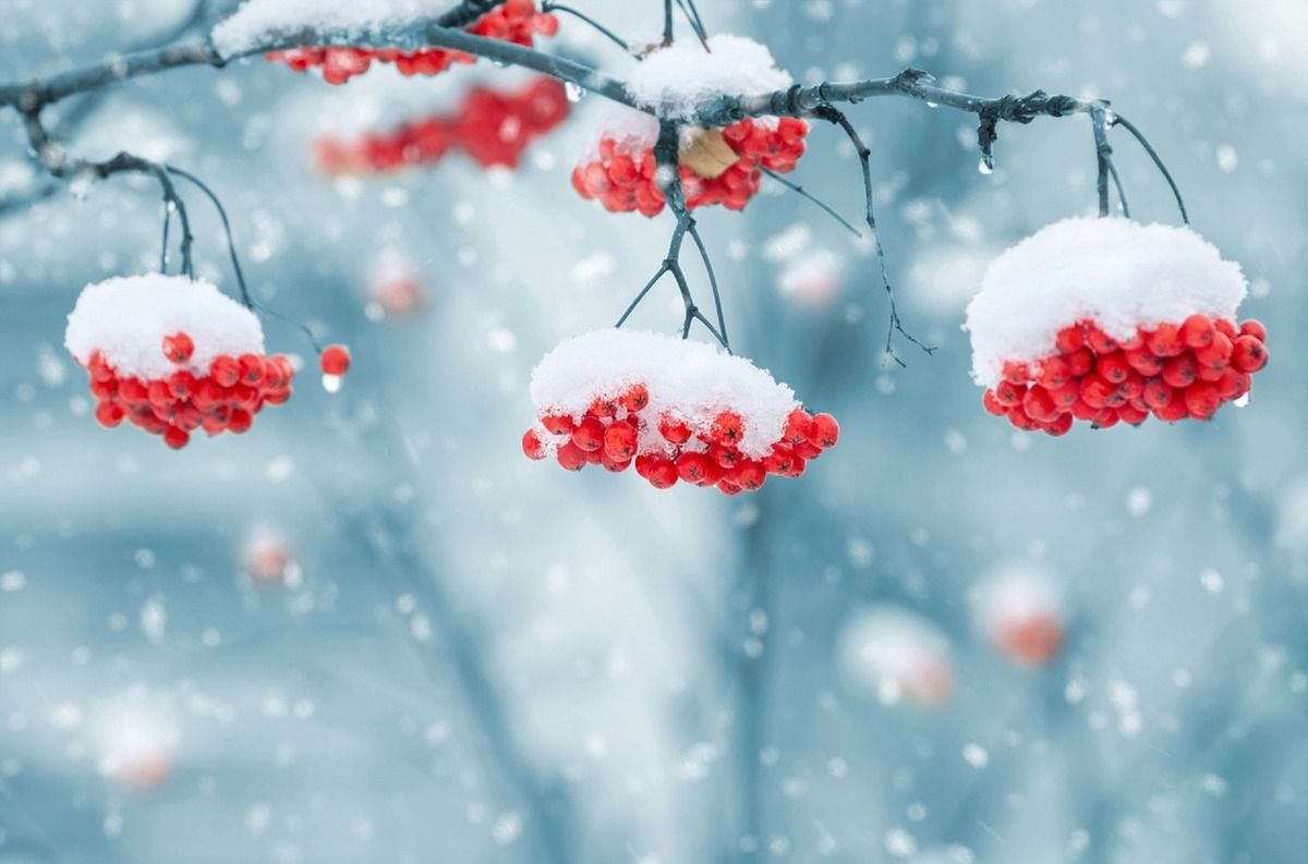 Прогноз погоди в Україні на 11 лютого 2019: місцями опади, на дорогах ожеледиця. На початку тижня у західних і частково в північних областях очікуються опади у вигляді дощу зі снігом, місцями денна температура підніметься до 5° тепла.