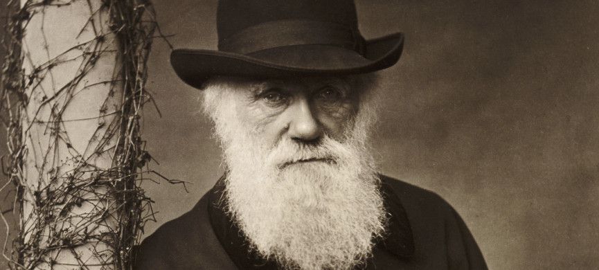 День Дарвіна (Міжнародний день науки і гуманізму) - 12 лютого. День Дарвіна приурочений до дня народження відомого англійського вченого-натураліста.