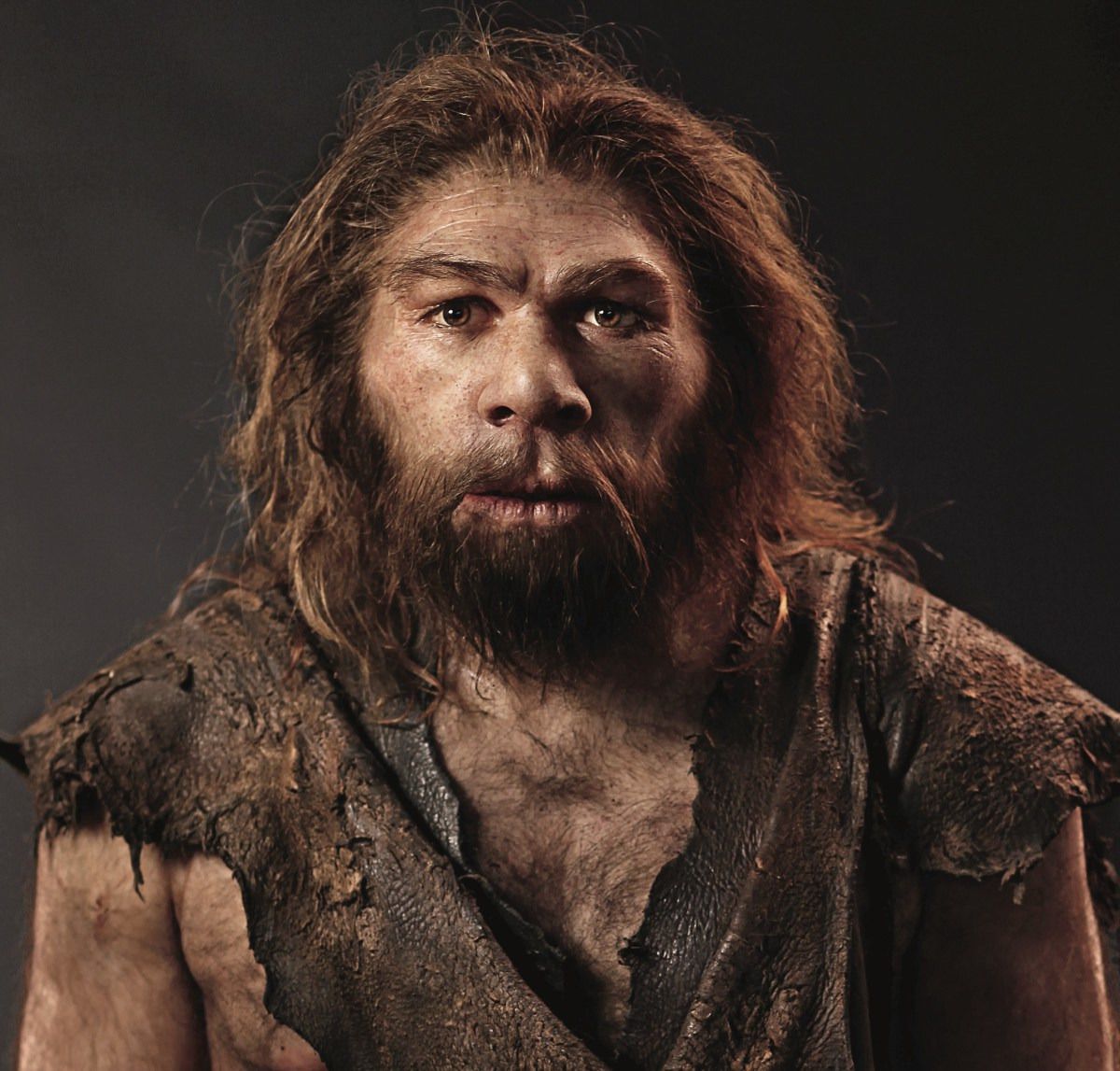 Вчені виявили ознаки існування раніше невідомих вимерлих предків Homo sapiens. Знайдено загадкового предка людини.