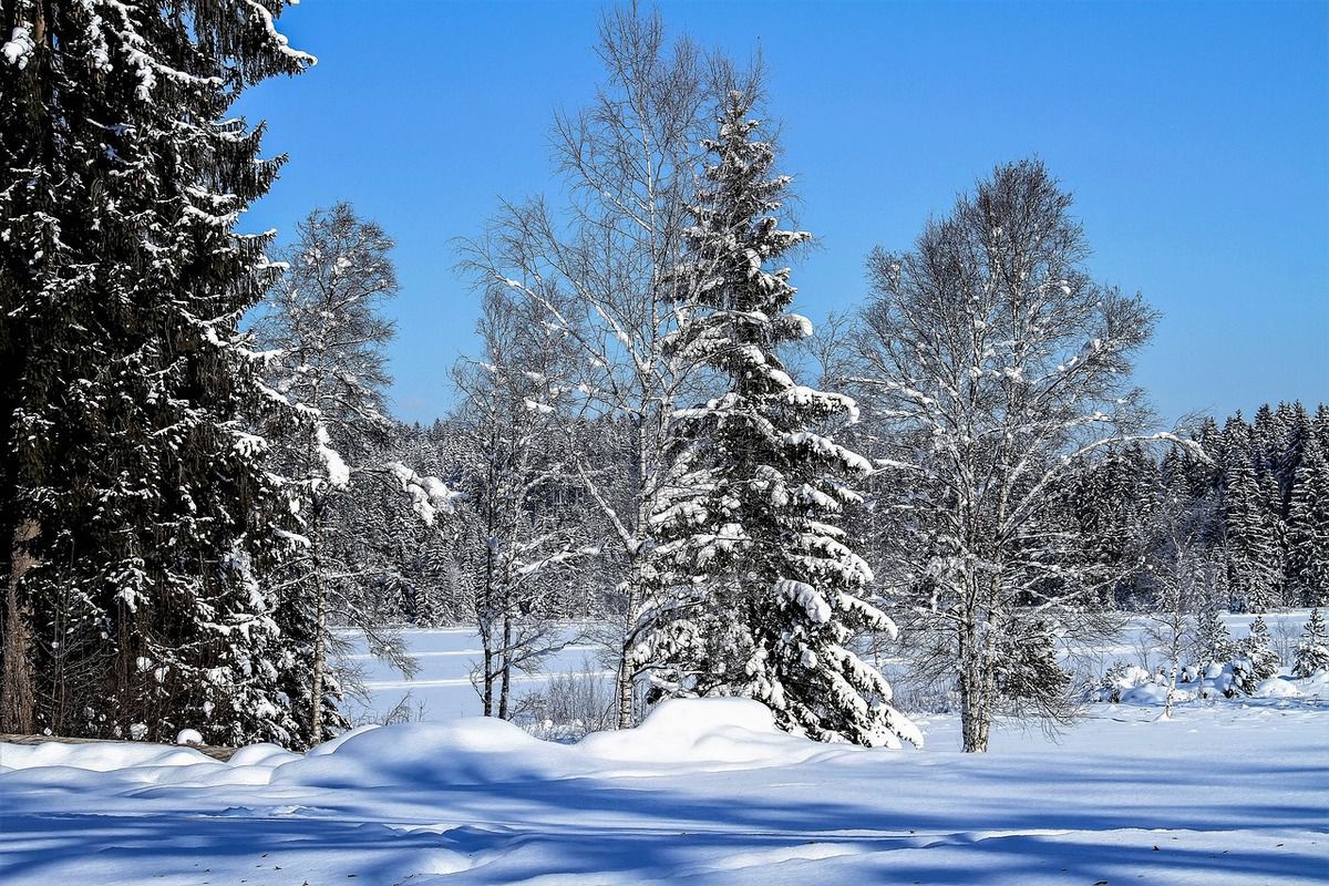 Прогноз погоди в Україні на 14 лютого 2019: похолодання, місцями опади, на дорогах ожеледиця. В Україні очікується невеликий мокрий сніг, вдень температура повітря становитиме від 1° морозу до 4° тепла.