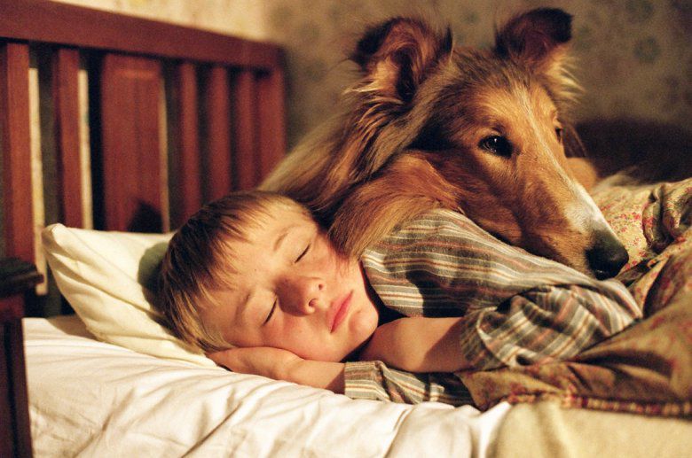 19 милих фото, які без суміву доводять, що собака — найкращий друг людини. Собаки хочуть перебувати з нами і в радості, і в горі, вони на рідкість віддані друзі.
