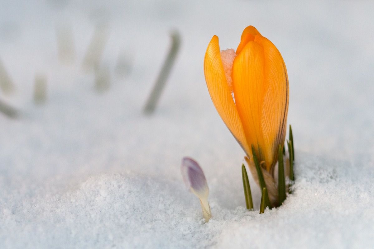 Прогноз погоди в Україні на 16 лютого 2019: сонячно, на дорогах ожеледиця. В Україні буде сухо і сонячно, вночі будуть невеликі морози, але вдень місцями денна температура досягне 12 градусів тепла.