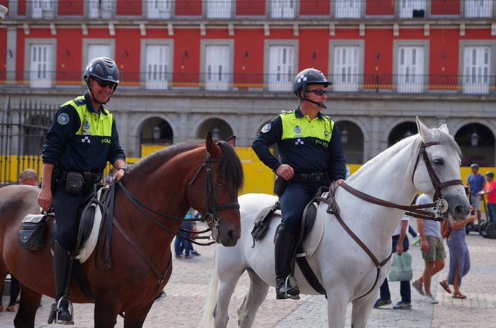Анекдот дня: Двоє поліцейських не могли розрізнити своїх коней, тому вони зробили щось досить божевільне. Кмітливість на висоті!