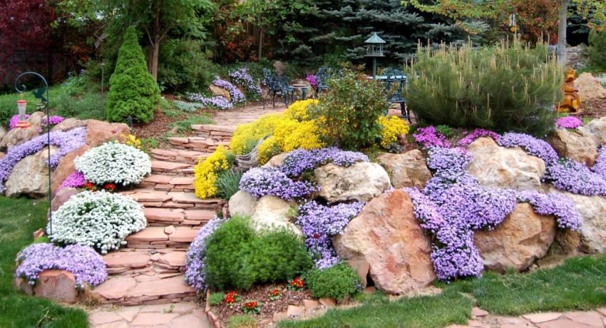 Альпійська гірка в саду: головні поради для створення ландшафтної композиції. Сьогодні ми розповімо більше про альпінарій— кам'янистий квітник з флорою.