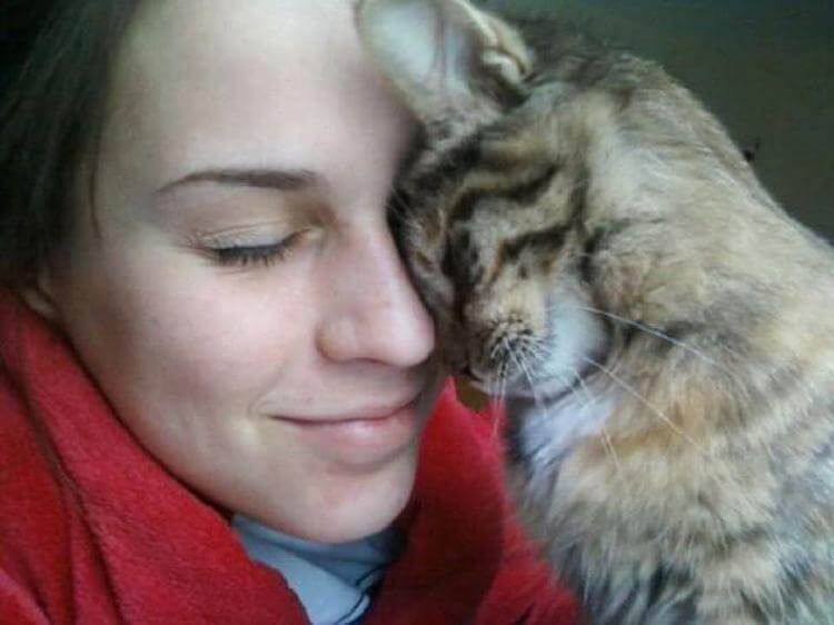 Цікаво знати. 10 способів, з допомогою яких кішка висловлює свою любов до вас. Кішки завжди жили поруч з людиною і завжди приносили їй користь.