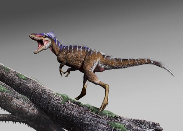 Американці знайшли найстарішого представника тиранозаврових. Тиранозаврові у середині крейдового періоду залишалися мініатюрними, а потім за 20 мільйонів років досить швидко виросли.